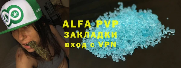 стафф Вязьма
