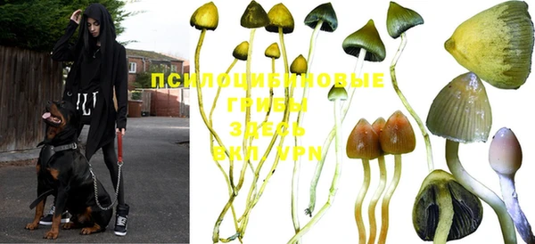 apvp Володарск