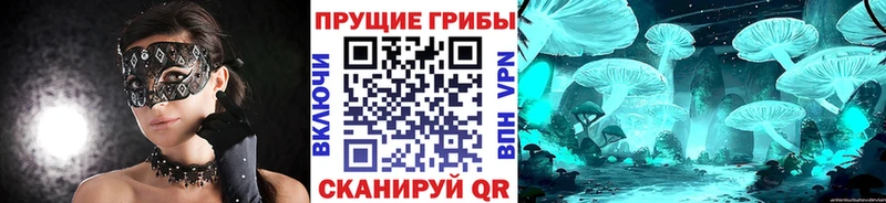 Галлюциногенные грибы Cubensis  Купить закладки  Северобайкальск 