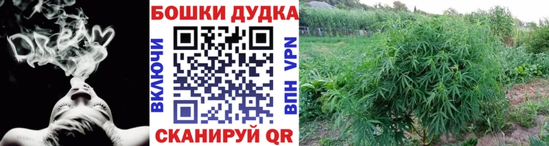 Марихуана OG Kush  Купить  Северобайкальск 